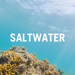 Saltwater Cameras