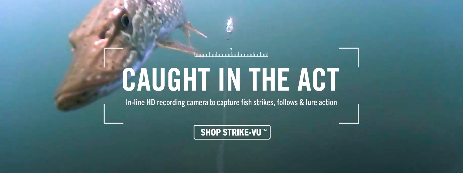 Strike-Vu